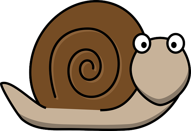 snail-160313_640.png